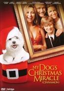 My dogs christmas miracle - DVD, Verzenden, Nieuw in verpakking