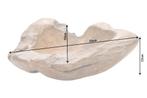 Massieve schaal NATURE ROOT 50cm natuurlijk teakwortelhout -, Ophalen of Verzenden, Nieuw
