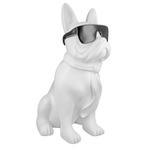 Polypug Cool Dog zit, Huis en Inrichting, Verzenden, Nieuw