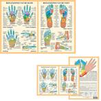 Anatomie poster hand- en voetreflexologie (Nederlands, ge..., Verzenden, Nieuw