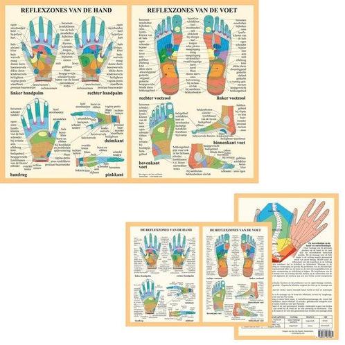 Anatomie poster hand- en voetreflexologie (Nederlands, ge..., Sport en Fitness, Overige Sport en Fitness, Verzenden