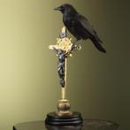Kraai Taxidermie volledige montage - Corvus corone - 65 cm -, Nieuw