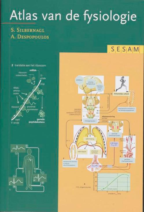 Sesam Atlas van de fysiologie 9789055745883, Boeken, Studieboeken en Cursussen, Zo goed als nieuw, Verzenden