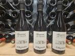 2017 Zironda - Amarone della Valpolicella DOCG - 3 Flessen, Nieuw