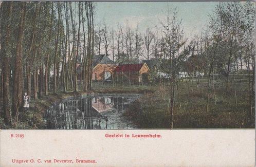 LEUVENUM - Gezicht te Leuvenheim, Verzamelen, Ansichtkaarten | Nederland, Verzenden