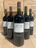 2018 Château Haut Rozier - Bordeaux - 6 Magnums (1.5L), Verzamelen, Nieuw