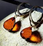 Exclusieve kwaliteits Cognac Amber Oorbellen – Baltisch