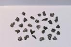 Campo del Cielo meteorite IJzer meteoriet - 34 g - (30)