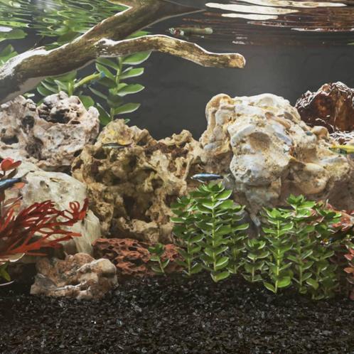 vidaXL Drakenstenen 10 kg 10-40 cm grijs, Dieren en Toebehoren, Overige Dieren-accessoires, Nieuw, Verzenden