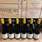 2023 Antinori, Castello della Sala, Chardonnay Bramito -, Verzamelen, Wijnen, Nieuw