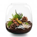 Berry Kerstmis terrarium - Planten terrarium  - DIY kit Chri, Verzenden