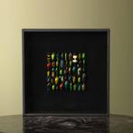 Kevers in Lijst Taxidermie Opgezette Dieren By Max, Verzamelen, Dierenverzamelingen, Ophalen of Verzenden, Nieuw, Insect, Opgezet dier