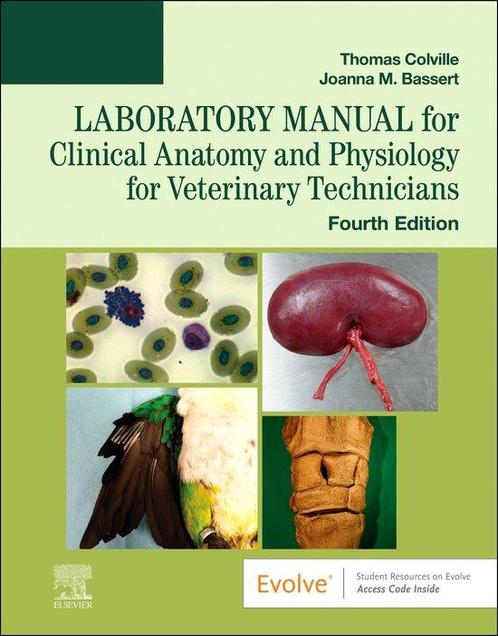 9780323793421 Laboratory Manual for Clinical Anatomy and ..., Boeken, Studieboeken en Cursussen, Nieuw, Verzenden