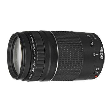 Canon EF 75-300mm f/4.0-5.6 USM III objectief - Tweedehands beschikbaar voor biedingen