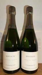 2014 Domaine Les Monts Fournois, Montagne - Montagne de, Nieuw