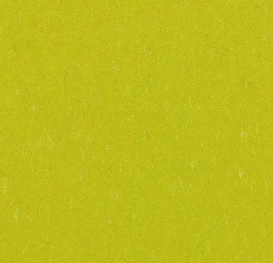 Forbo Marmoleum Piano 3646 young grass, Huis en Inrichting, Stoffering | Vloerbedekking, Verzenden