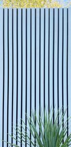 Planken, composiet planken voor gevelbekleding en schutting, Nieuw, 250 cm of meer, Planken