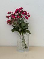 Iittala - Tapio Wirkkala - Vaas - Glas - Vintage glazen