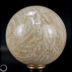 Natuurlijk AA+++ Fossiel Goniopora-koraalbol, Australië,, Verzamelen, Mineralen en Fossielen