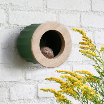 Cactus Vogel- en Voederhuisje beschikbaar voor biedingen