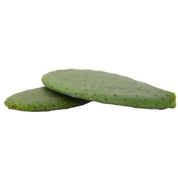 Opuntia Pads Prickly Pear ( eetbare kaktus )