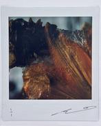 Benjamin Martin - Unique Print – “Lost & Found” Series