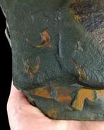 Primitieve stekelhuidige - Stylophora!!! - Gefossiliseerd, Verzamelen, Mineralen en Fossielen