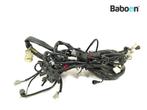 Kabelboom Aprilia Tuono RSV 1000 (+Factory) 2002-2005, Verzenden, Gebruikt