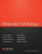 Molecular Cell Biology 9781464109812, Zo goed als nieuw, Verzenden