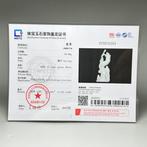 Natural Jade Dragon Sculpture - Gecertificeerde Jadeïet