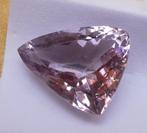 Zonder Minimumprijs Ametrien - 15.43 ct - Instituto, Sieraden, Tassen en Uiterlijk, Nieuw
