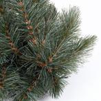 Forest Frosted Guirlande Swag - L180 cm - Newgrowth Blue, Diversen, Kerst, Verzenden, Nieuw
