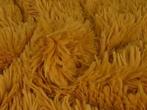 Langharig bont stof – Okergeel, 120 cm of meer, Geel, Ophalen of Verzenden, Polyester