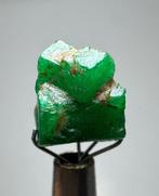 Smaragd Prachtige facetgeslepen kwaliteit!<br>Muzo Top Green, Verzamelen