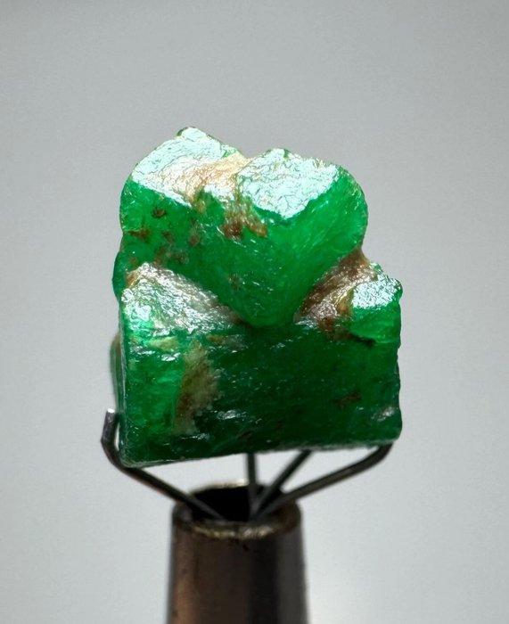 Smaragd Prachtige facetgeslepen kwaliteit!<br>Muzo Top Green, Verzamelen, Mineralen en Fossielen