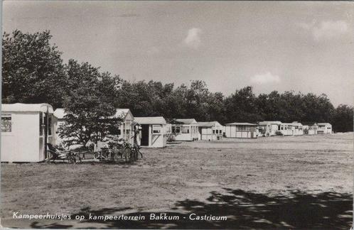 BAKKUM - Kampeerhuisjes op kampeerterrein Bakkum - Castricum, Verzamelen, Ansichtkaarten | Nederland, Verzenden