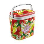 Koelbox Summer Time Fruit 27L, Caravans en Kamperen, Kampeeraccessoires, Verzenden, Nieuw