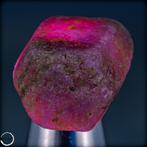 Zeer zeldzaam Padparadscha-kleur Saffier kristal 63,45 ct-