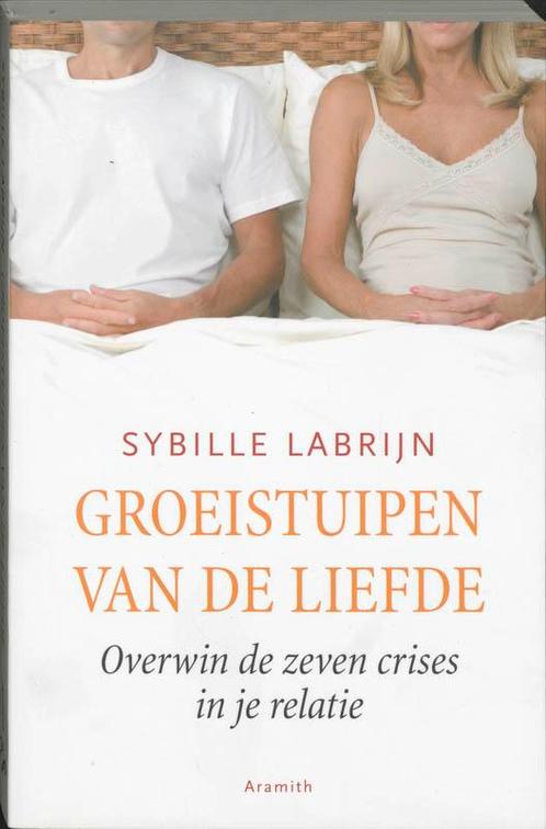 Groeistuipen van de liefde 9789068342024 S. Labrijn, Boeken, Psychologie, Gelezen, Verzenden
