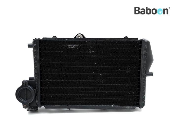 Radiateur BMW K 1100 RS 1992-1996 (K1100RS) (1464568), Motoren, Onderdelen | BMW, Gebruikt, Verzenden