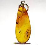 Epische BALTIC AMBER hanger met fossiele midges, muggen en, Nieuw