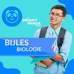 Biologie Bijles in Haarlem - Verbeter jouw cijfers!, Privéles, Examen- of Scriptiebegeleiding