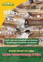Ecostyle aaltjes f tegen de larven varenrouwmug rouwvliegjes, Verzenden, Nieuw