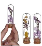 Mini Dome stolpjes gevuld met droogbloemen Ø2 h.7 cm set 6, Ophalen of Verzenden, Nieuw