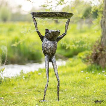 Metalen waterbak met kikker - Mooievogels.nl beschikbaar voor biedingen