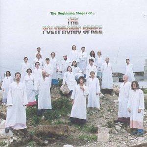 cd - The Polyphonic Spree - The Beginning Stages Of ..., Cd's en Dvd's, Cd's | Overige Cd's, Zo goed als nieuw, Verzenden