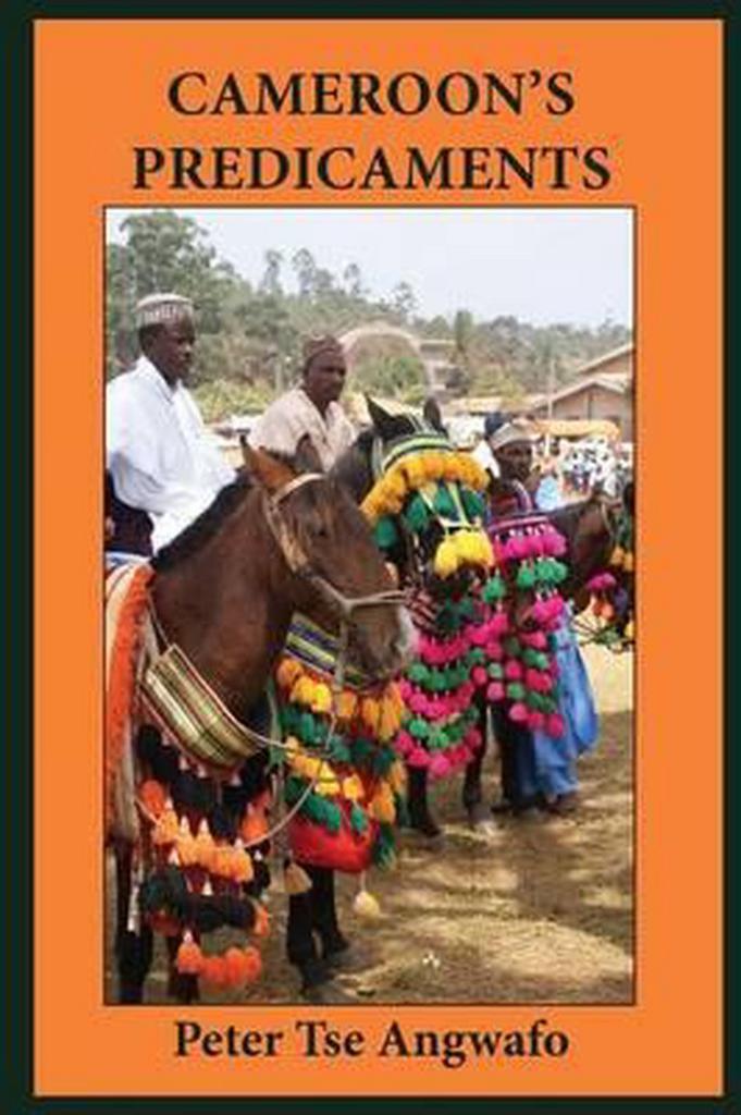 Cameroons Predicaments 9789956792382 Peter Tse Angwafo, Boeken, Taal | Engels, Zo goed als nieuw, Verzenden