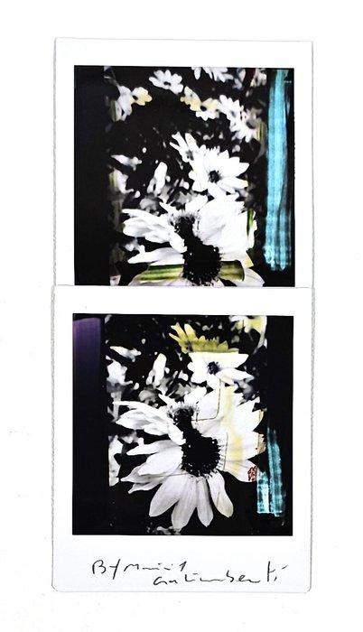 Maurizio Galimberti (1956) - BiFlowers - 11173, Antiek en Kunst, Kunst | Schilderijen | Modern