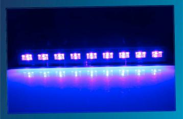 Blacklight / UV Balk – NIEUW in doos! TOP PRODUCT!! beschikbaar voor biedingen