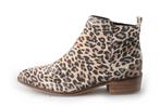Ann Rocks Enkellaarzen in maat 37 Panter | 10% extra korting, Ann Rocks, Overige kleuren, Verzenden, Lage of Enkellaarzen